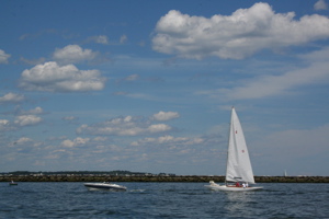 IMG_8255.jpg