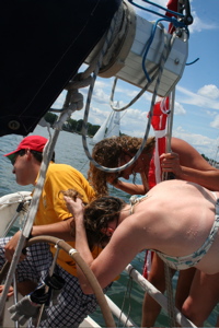 IMG_8271.jpg