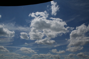 IMG_8286.jpg