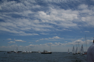 IMG_8305.jpg