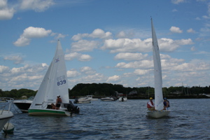 IMG_8315.jpg