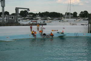 IMG_8450.jpg