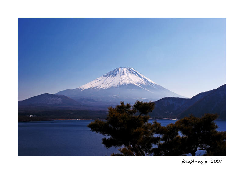 Pines & Fuji