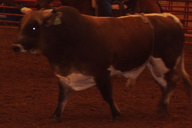 P3240055.JPG