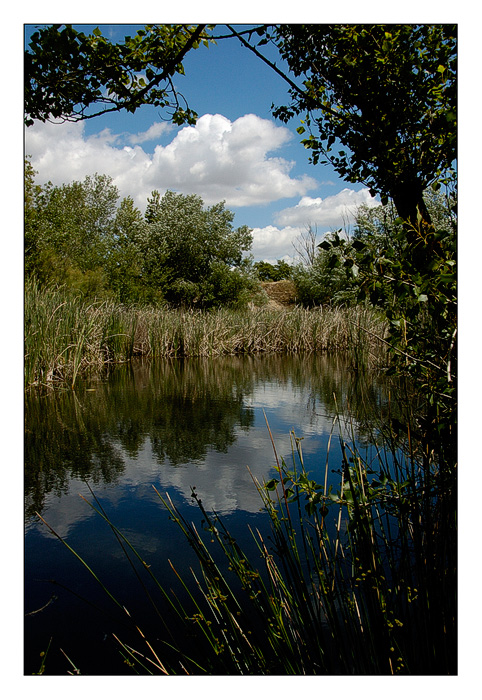 Laguna del Campillo