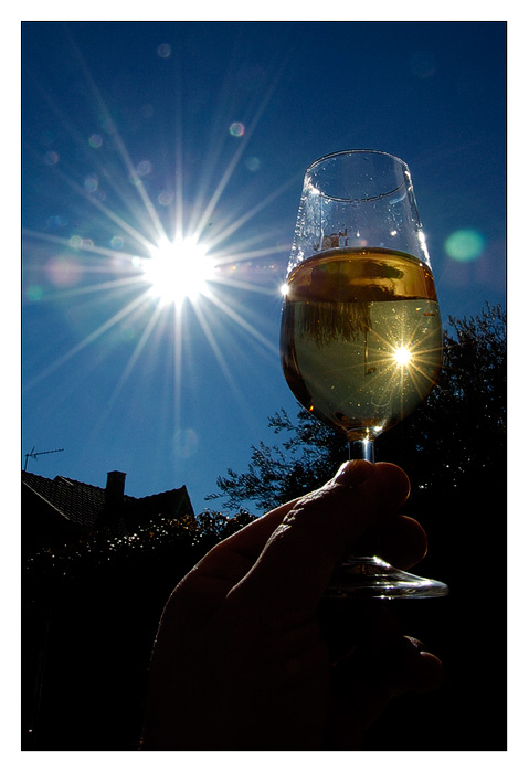 Un brindis al sol