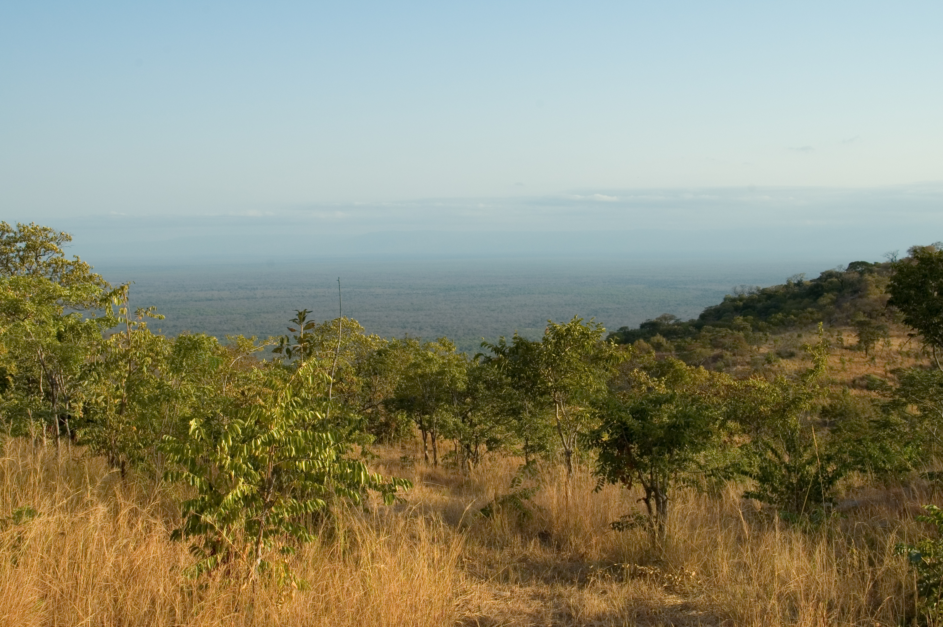 Can You See Zambia?