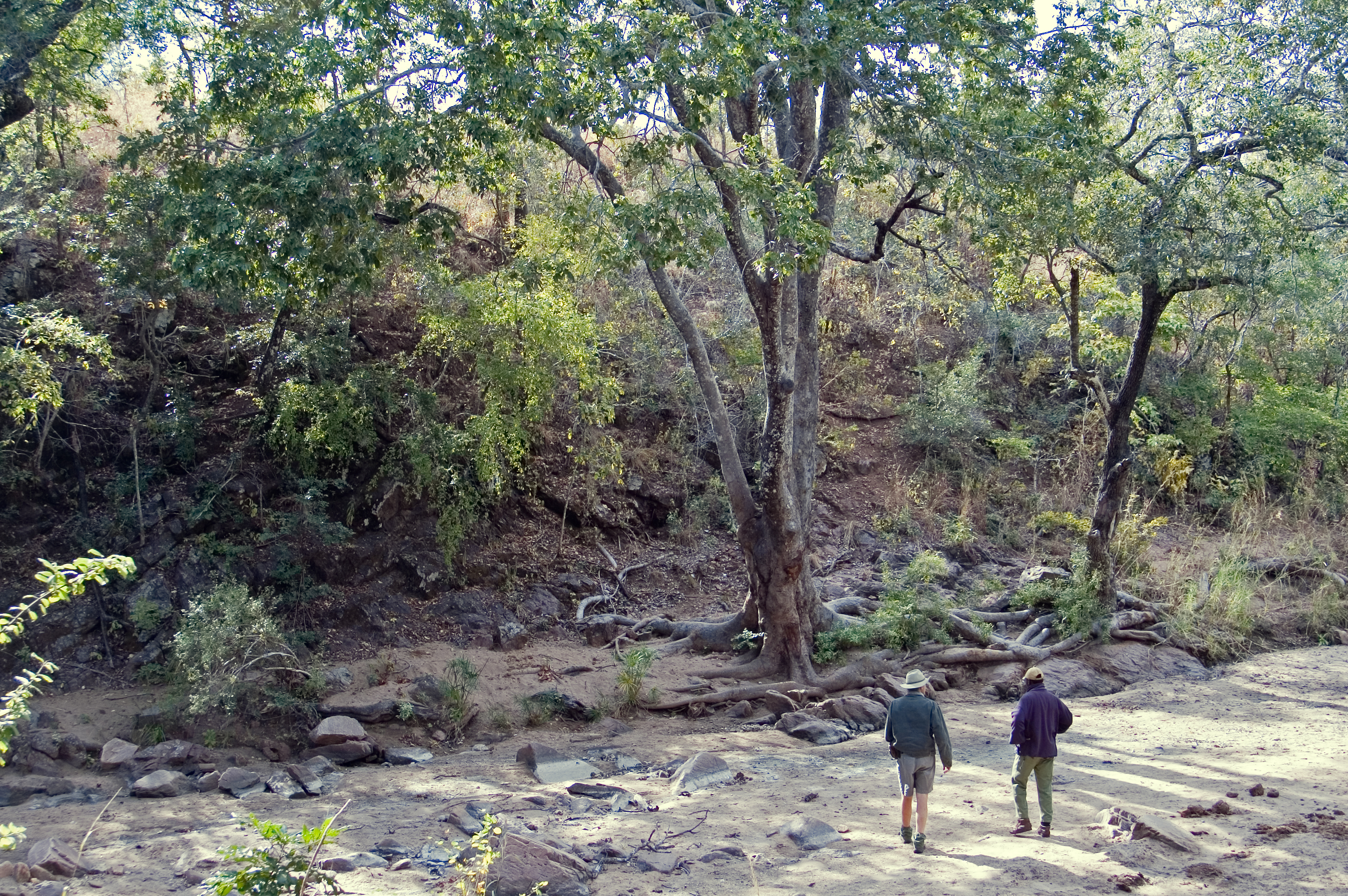 Dry River Bed