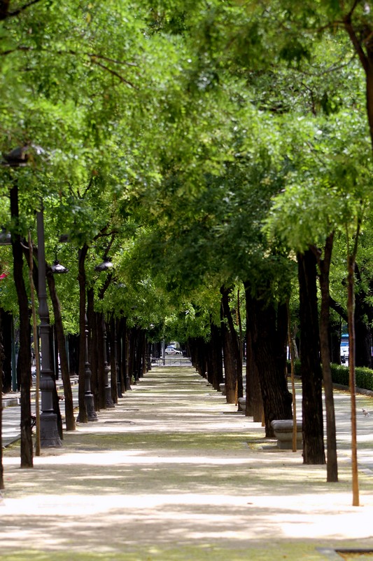 along the park.jpg