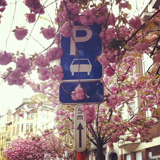April 21<br>7/2