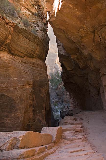 20080613 Zion2 061 copy.jpg