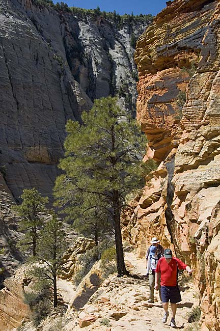 20080613 Zion2 085 copy.jpg