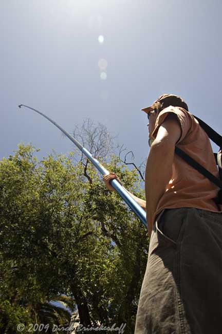 20090614 Pole Camera Sun1 070.jpg