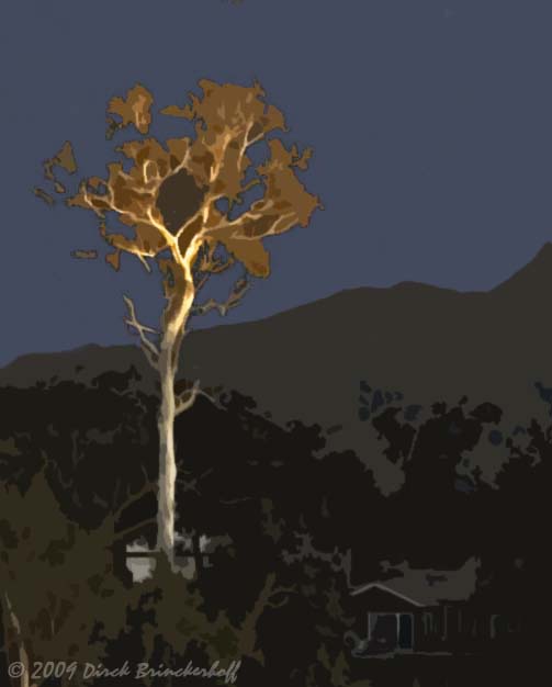 Tree In Days Last Light