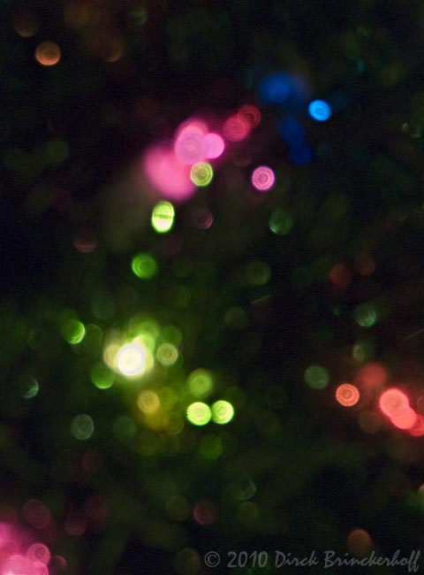 20100105 XmasColors 003-2.jpg