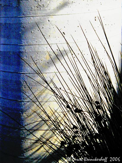 Grass and Sonotube