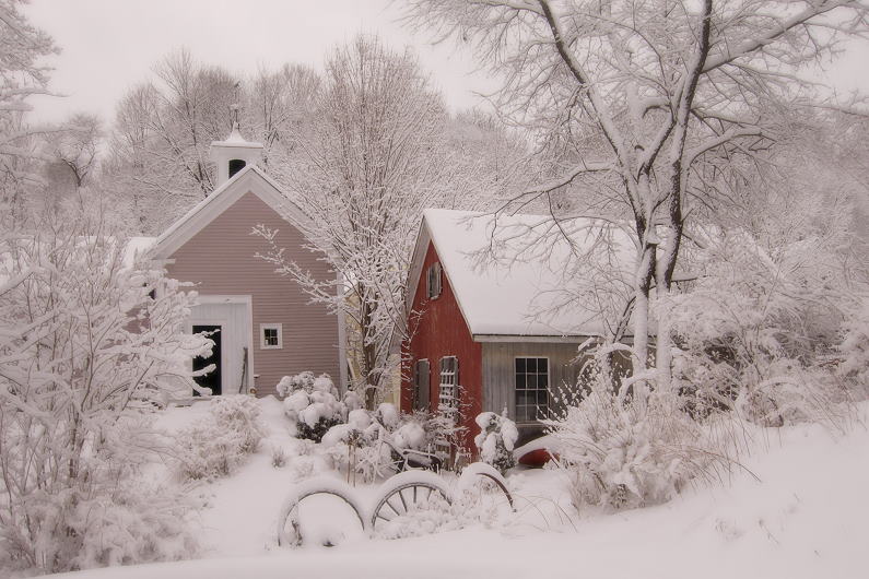 My back yard this morning (April 5, 2007)