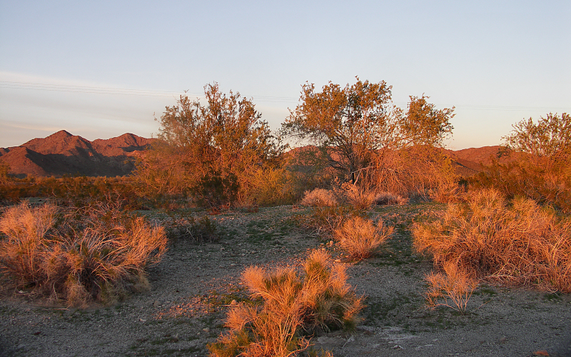 Arizona Desert at Sunset2    Phyllis.JPG