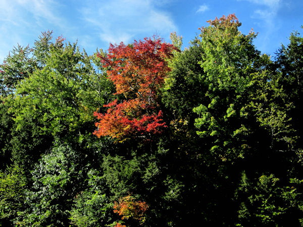 Colors   pw.jpg