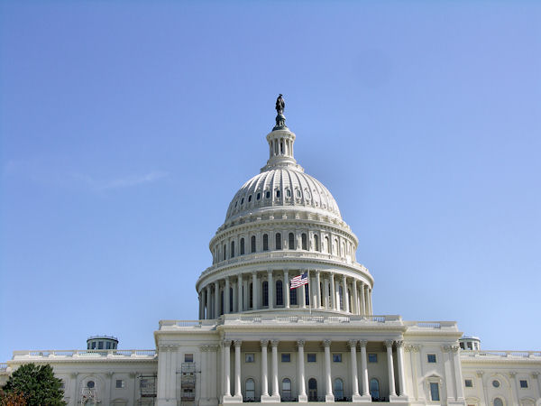 US Capitol Building in Washington D,C..jpg