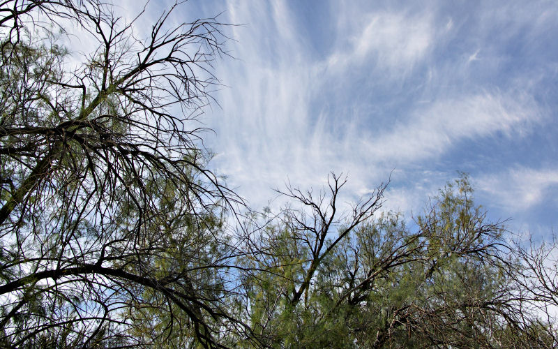 Death Valley Clouds2 Tom.jpg