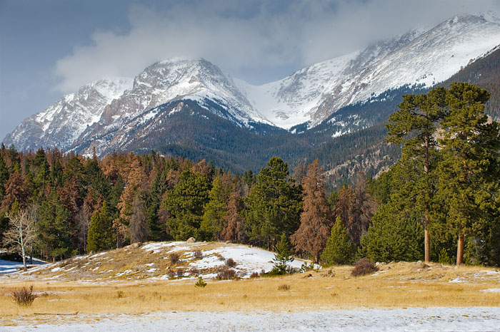Meadow and Mountain View