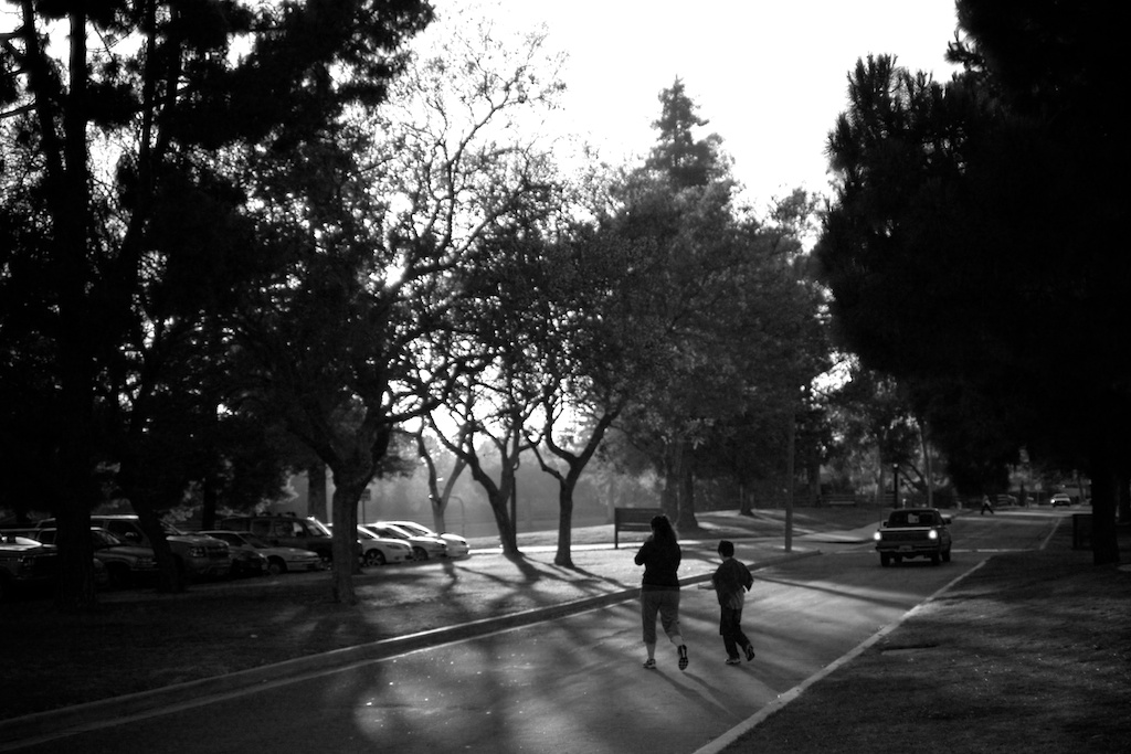 Strolling at Dusk