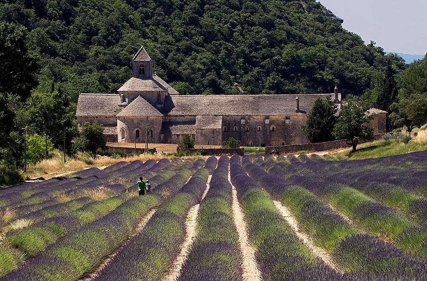Abbaye de Snanque