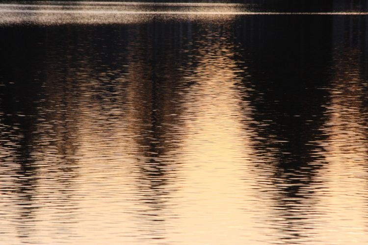 Light on the Lake