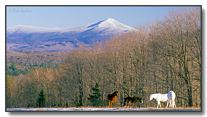 Whiteface Mt. As Seen From Route 86 And The  Hamlet Of Gabriels