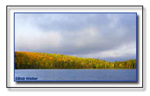Autumn In The Hills Along Brewer Lake