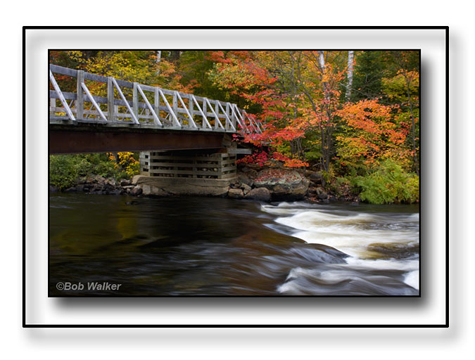 Rustic Bridge Over The Oxtongue Rapids & River