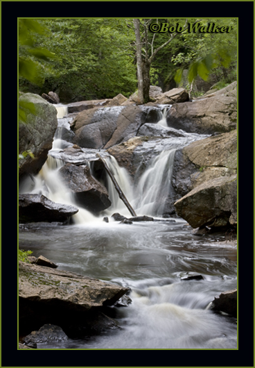 Spring Time Flows In The Haunts Of The Adirondack Park