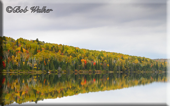 Reflections On Costello Lake Off Of Opeongo Road