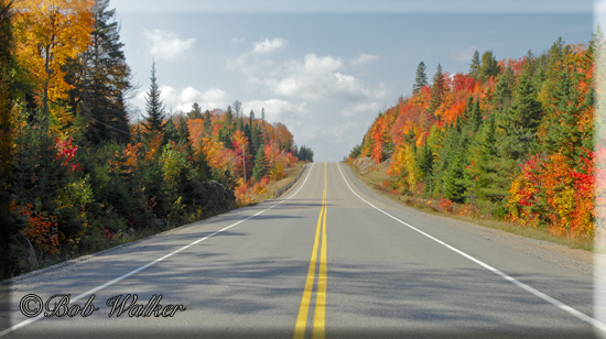 Highway 60 A Main Colorful Road Through The Park