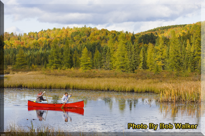 Paddling Costello Creek Is A Paddlers Dream