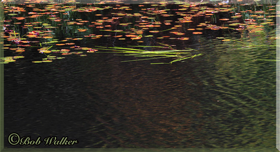 Negative Space On The Waterway