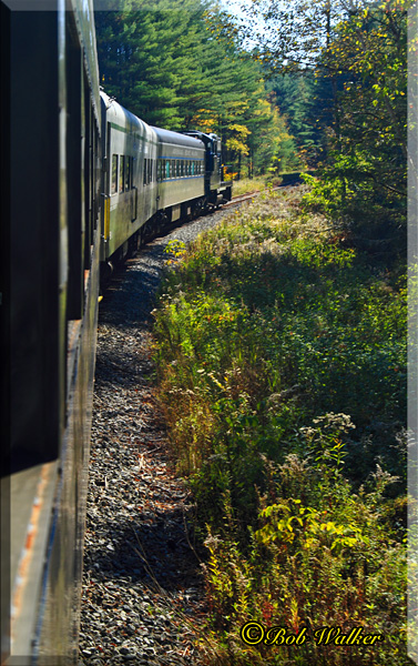The Adirondack Scenic Railroads Excursion Train Meanders Through The Forest