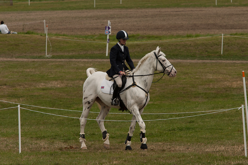 CRW_3639.jpg