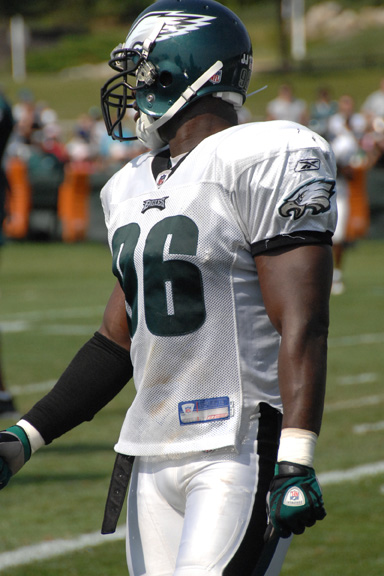 Eagles 339.jpg