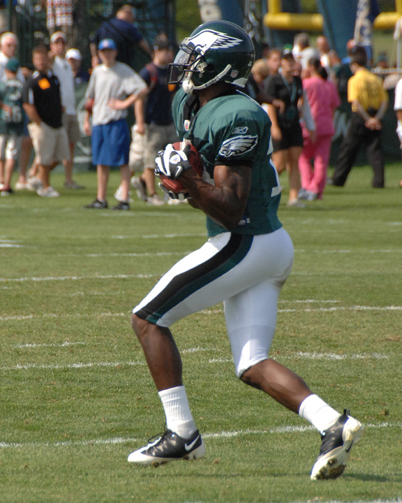 Eagles 354.jpg