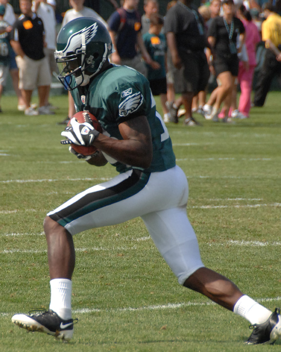 Eagles 355.jpg