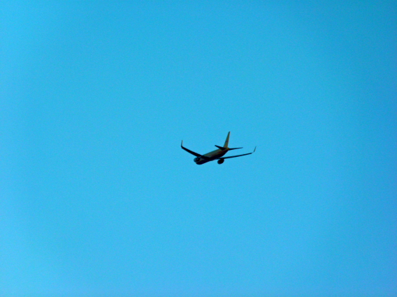 DHL Air (D-ALEG) Landing @ East Midlands over Burton-on-Trent