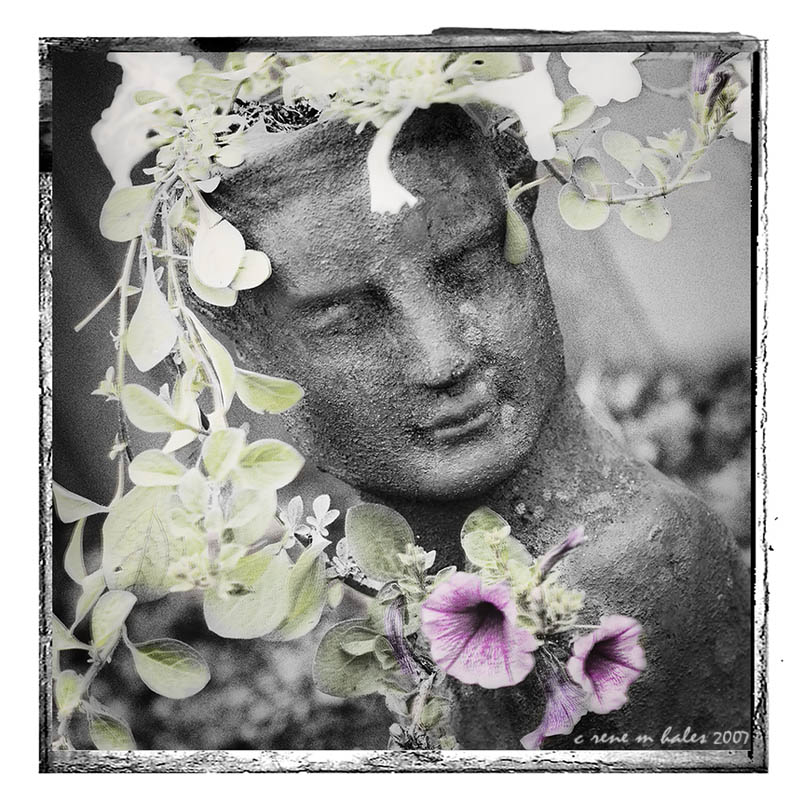 lady in the garden