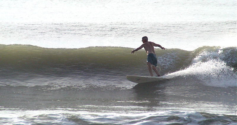 DSC01223 2.JPG