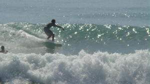 DSC02090 2.JPG