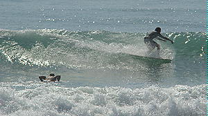 DSC02092 2.JPG