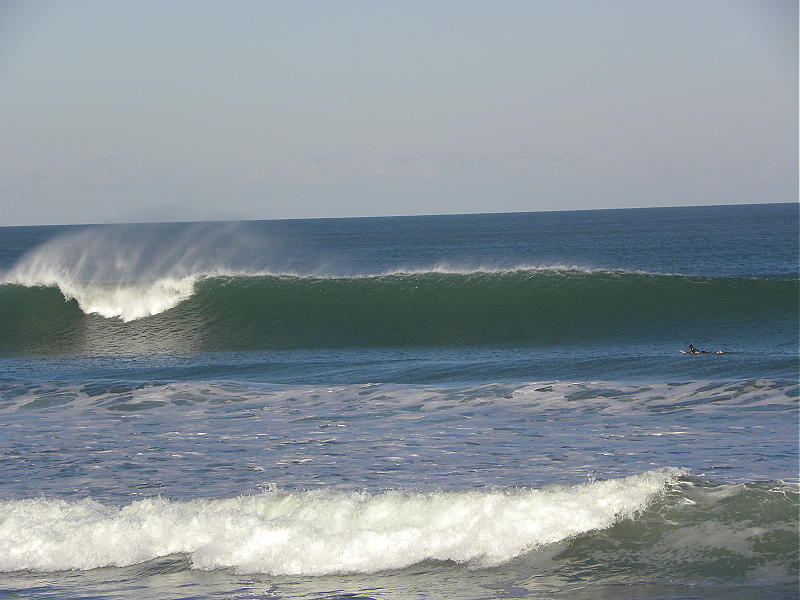 DSCN5984 2.JPG