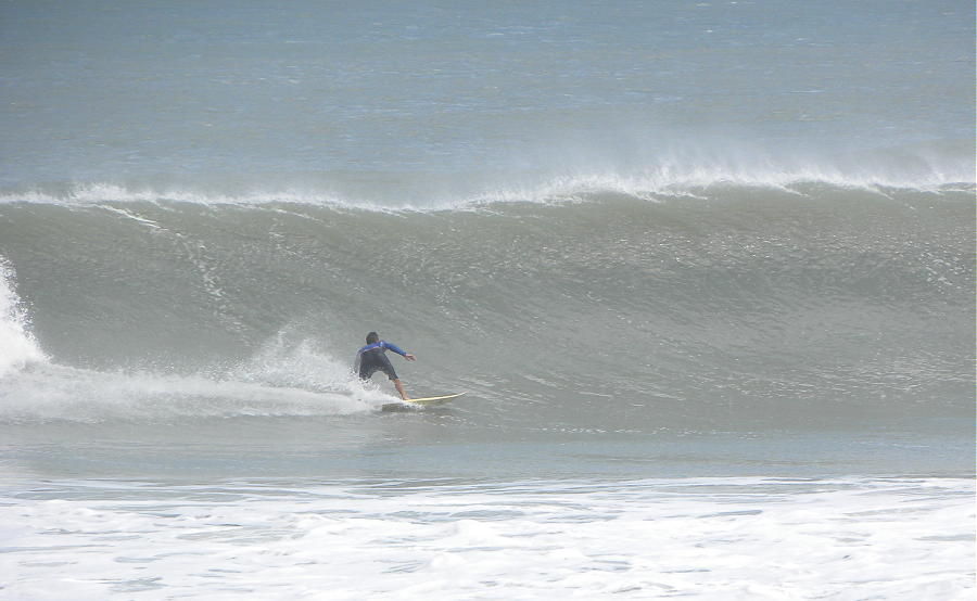 DSCN7803 2.JPG