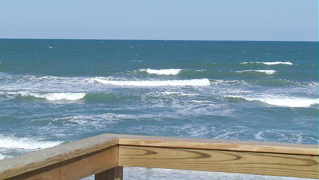 P3180004 2.JPG